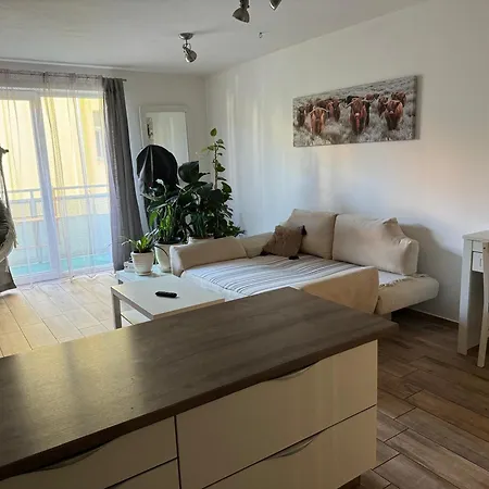 Apartment S Garazi A Balkonem Plzen