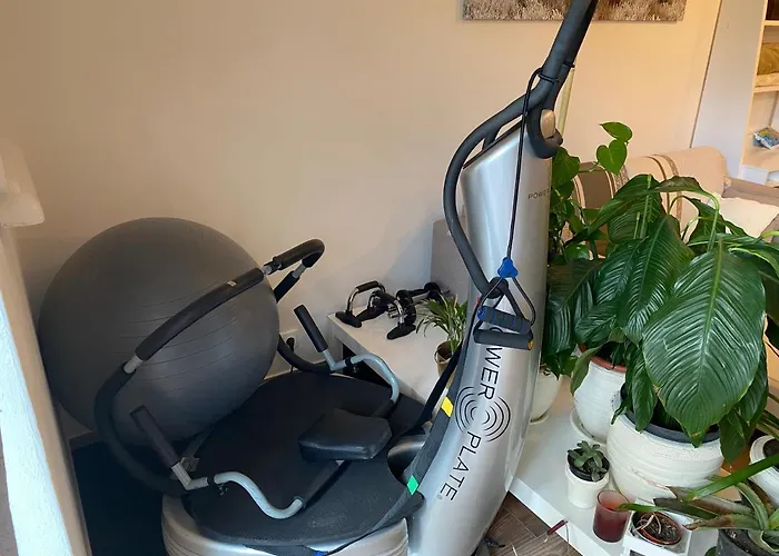 S Garazi A Balkonem * Плзень