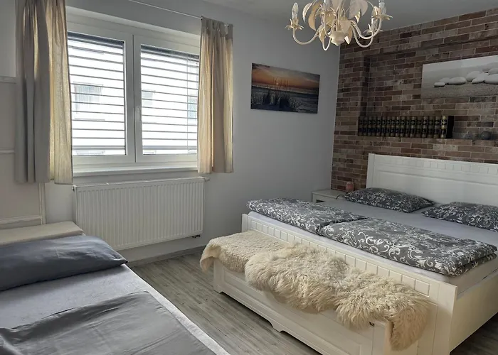 דירה S Garazi A Balkonem פלזן